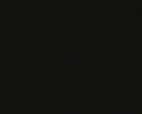 Dog Think GIF