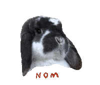 Hungry Bunny Sticker