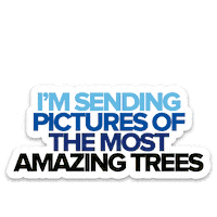 sticker pictures by Dear Evan Hansen