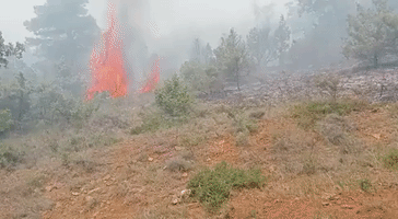 Firefighters Stabilize Wildfire in Spain's Navarre Region