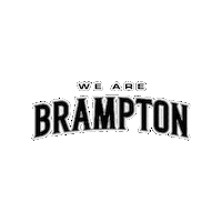 Basketball Nba Sticker by Brampton Honey Badgers