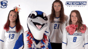 jays bluejays GIF by Creighton University Athletics