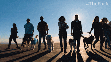 The Pack Dogs GIF by Amazon Prime Video