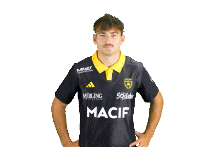 Rugby Larochelle Sticker by Stade Rochelais