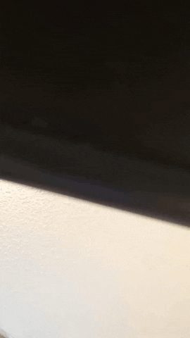 GIF by plusQA_test_partner