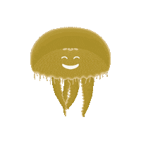 Happy Ocean Sticker by Muséum-Aquarium de Nancy