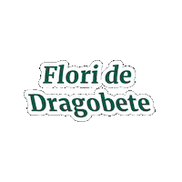 MagnoliaFlorarieOnline  Sticker
