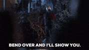 christmas vacation GIF
