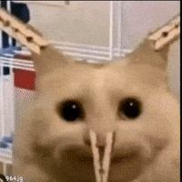 ميمز GIF