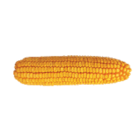 Sementes Sticker by Agro Bayer