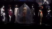 susanne bartsch on top museum GIF by The Orchard Films