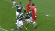 tamo junto feliz GIF by SE Palmeiras