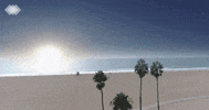 Santa Monica Realtor GIF by Silicon Beach Homes