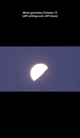 VeronicaInDream  GIF