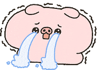 Cry Pig Sticker
