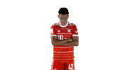 Look Up Sticker by FC Bayern Munich