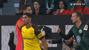 shake hands football GIF by VfL Wolfsburg