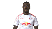 hear rb leipzig Sticker by Bundesliga