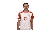 Fc Bayern Brains Sticker by Bundesliga