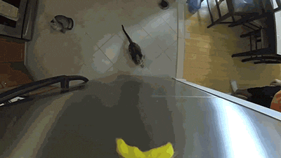 jumping slow motion GIF