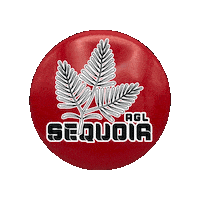 Sequoia Tree Disc Golf Sticker by AGLDiscs