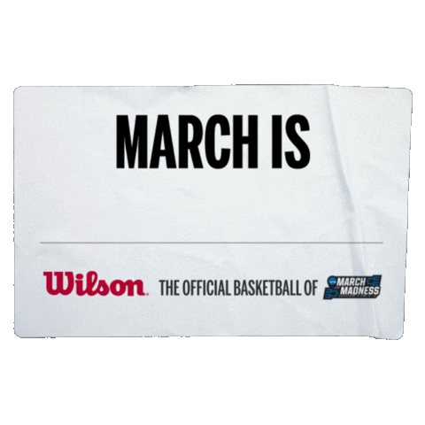 college basketball ball Sticker by Wilson Basketball