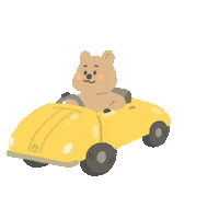 Quokka Sticker