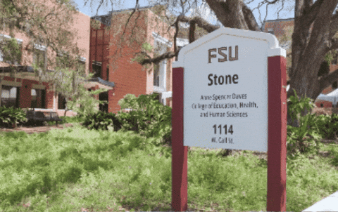 Florida State Stone GIF
