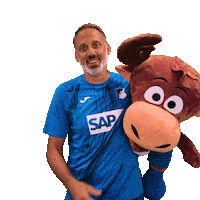 Sport Bundesliga Sticker by TSG Hoffenheim