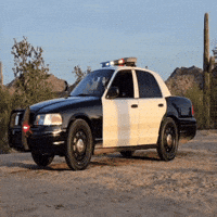 Ford Vic GIF