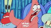 season 10 episode 3 GIF by SpongeBob SquarePants
