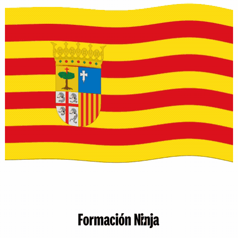 Flag Spain GIF by Formación Ninja