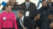 Everton Duncanferguson GIF by MolaTV