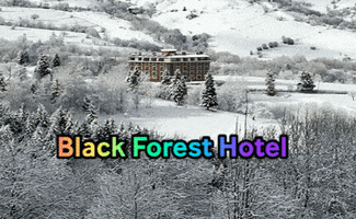 BlackForestHotel hotel motel otel hamam GIF