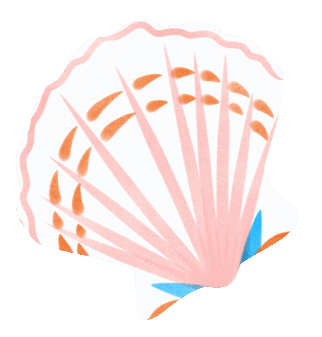 jenleembruggen giphyupload sea shell jen Sticker