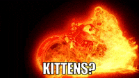 Kittens? I LOVE Kittens