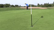 golf putt GIF by Worcester Warriors
