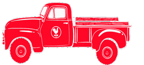 Texas Nashville Sticker by hattiebs