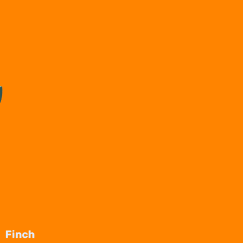 Happy Birthday Party GIF by Finch Care