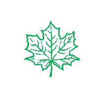 Fall Autumn Sticker by Twinkl Parents