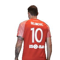 Wbg10 Sticker by WasserburgerLöwen