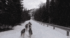 snow sledding GIF by Much