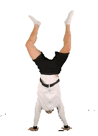 Germany Gymnastics Sticker by Deutscher Turner-Bund