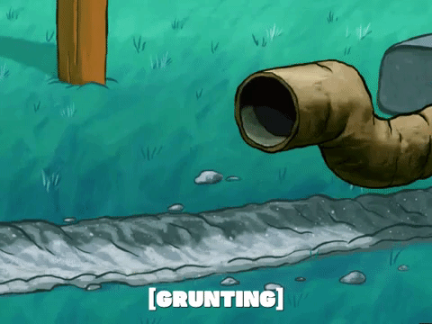 season 5 GIF by SpongeBob SquarePants