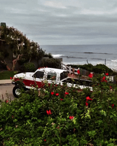 Ford Trucks GIF