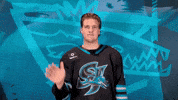 See Ya Hello GIF by San Jose Barracuda