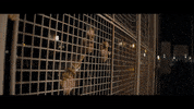 music video edm GIF by Tritonal