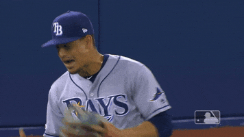 Regular Season Sport GIF by MLB