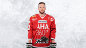 Hockey Del GIF by Augsburger Panther Eishockey GmbH