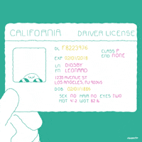 Los Angeles Lol GIF by gifnews